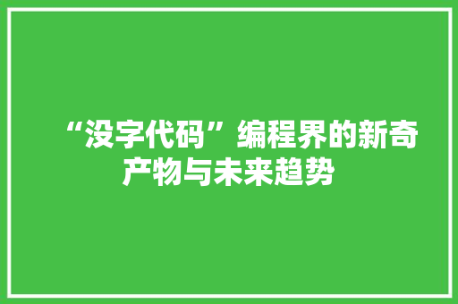 “没字代码”编程界的新奇产物与未来趋势