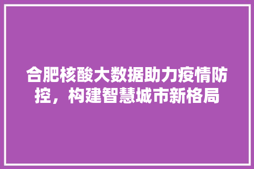 合肥核酸大数据助力疫情防控，构建智慧城市新格局  第1张