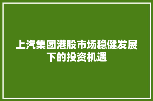 上汽集团港股市场稳健发展下的投资机遇  第1张