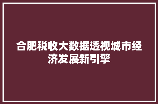 合肥税收大数据透视城市经济发展新引擎  第1张