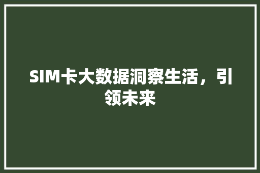 SIM卡大数据洞察生活，引领未来
