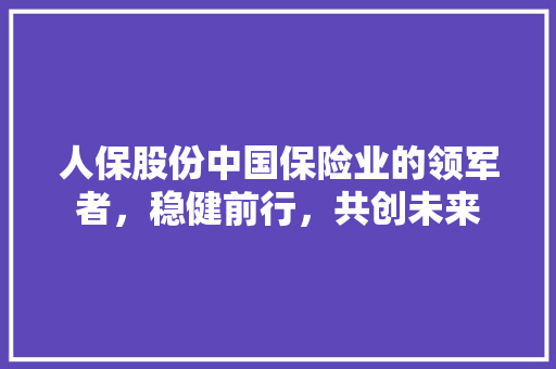 人保股份中国保险业的领军者，稳健前行，共创未来