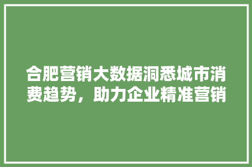 合肥营销大数据洞悉城市消费趋势，助力企业精准营销