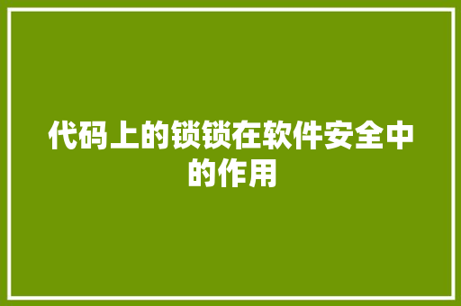 代码上的锁锁在软件安全中的作用