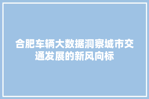 合肥车辆大数据洞察城市交通发展的新风向标  第1张
