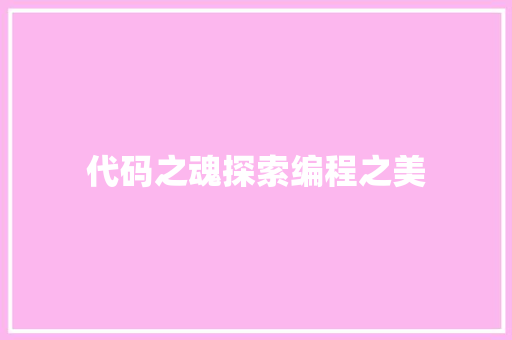 代码之魂探索编程之美