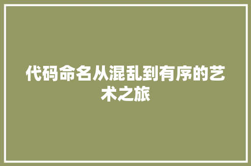代码命名从混乱到有序的艺术之旅