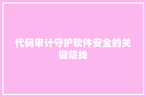 代码审计守护软件安全的关键防线