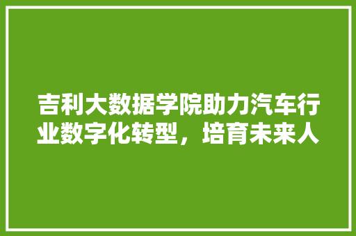 吉利大数据学院助力汽车行业数字化转型，培育未来人才  第1张