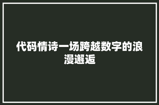 代码情诗一场跨越数字的浪漫邂逅