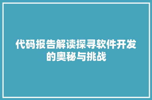 代码报告解读探寻软件开发的奥秘与挑战
