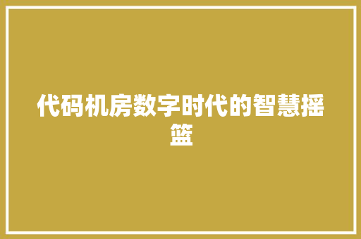 代码机房数字时代的智慧摇篮