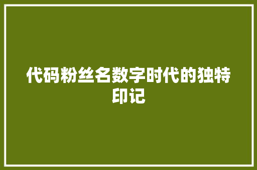 代码粉丝名数字时代的独特印记