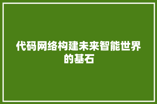 代码网络构建未来智能世界的基石