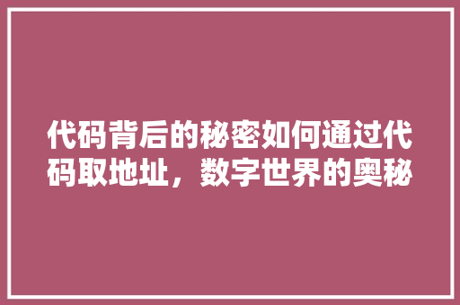 代码背后的秘密如何通过代码取地址，数字世界的奥秘