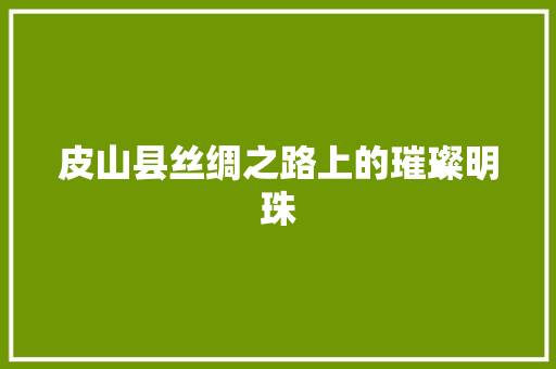 皮山县丝绸之路上的璀璨明珠