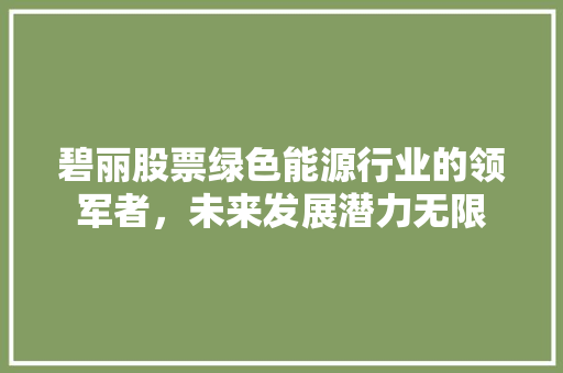 碧丽股票绿色能源行业的领军者，未来发展潜力无限