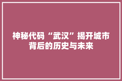 神秘代码“武汉”揭开城市背后的历史与未来