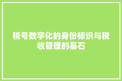税号数字化的身份标识与税收管理的基石