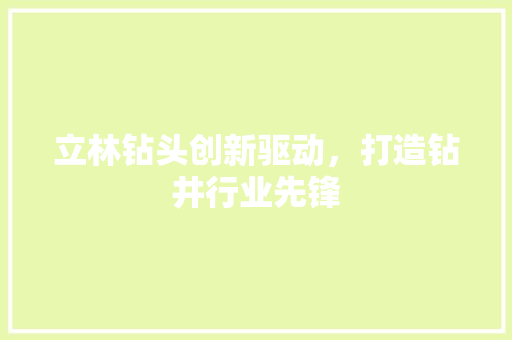 立林钻头创新驱动，打造钻井行业先锋