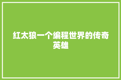 红太狼一个编程世界的传奇英雄