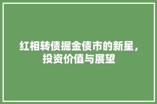 红相转债掘金债市的新星，投资价值与展望
