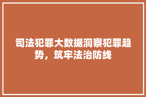 司法犯罪大数据洞察犯罪趋势，筑牢法治防线  第1张