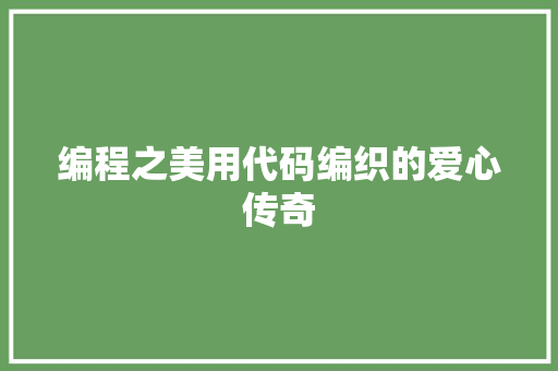 编程之美用代码编织的爱心传奇