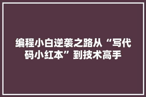 编程小白逆袭之路从“写代码小红本”到技术高手