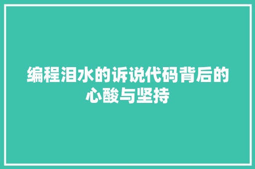 编程泪水的诉说代码背后的心酸与坚持