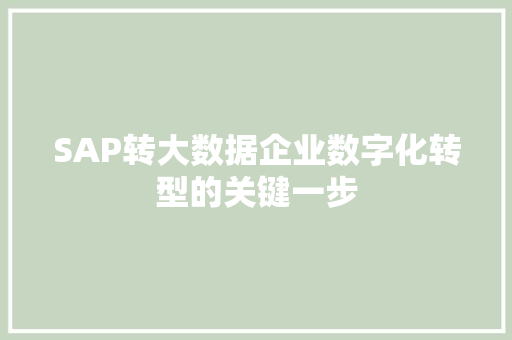 SAP转大数据企业数字化转型的关键一步
