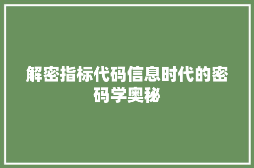 解密指标代码信息时代的密码学奥秘