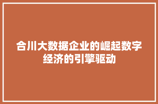 合川大数据企业的崛起数字经济的引擎驱动