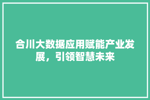 合川大数据应用赋能产业发展，引领智慧未来