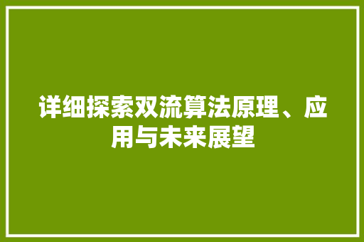 详细探索双流算法原理、应用与未来展望