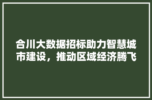 合川大数据招标助力智慧城市建设，推动区域经济腾飞
