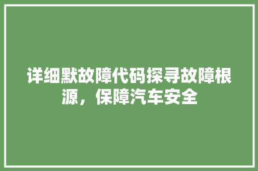 详细默故障代码探寻故障根源，保障汽车安全  第1张