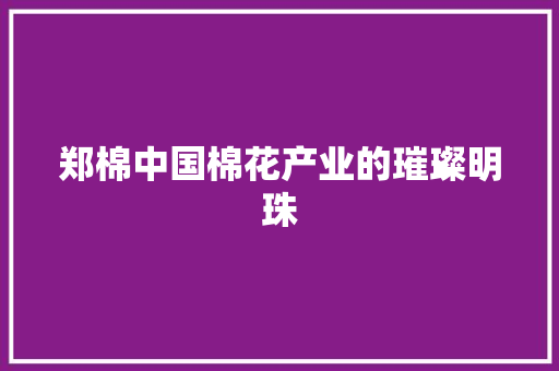 郑棉中国棉花产业的璀璨明珠