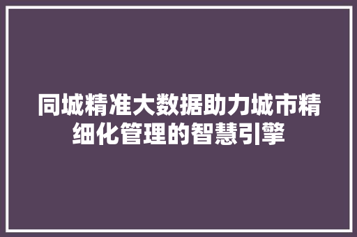 同城精准大数据助力城市精细化管理的智慧引擎  第1张