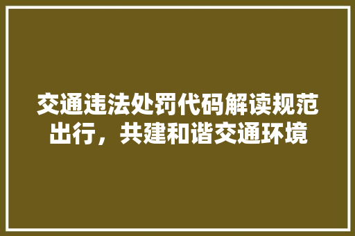 交通违法处罚代码解读规范出行，共建和谐交通环境
