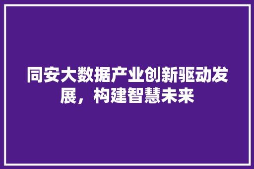 同安大数据产业创新驱动发展，构建智慧未来