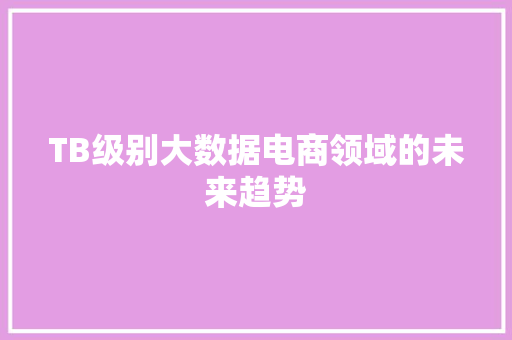 TB级别大数据电商领域的未来趋势
