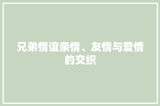 兄弟情谊亲情、友情与爱情的交织