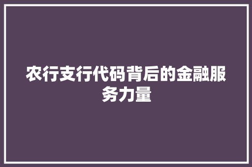农行支行代码背后的金融服务力量
