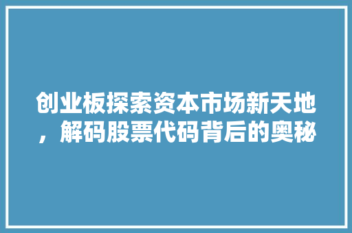 创业板探索资本市场新天地，解码股票代码背后的奥秘