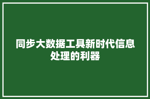同步大数据工具新时代信息处理的利器  第1张