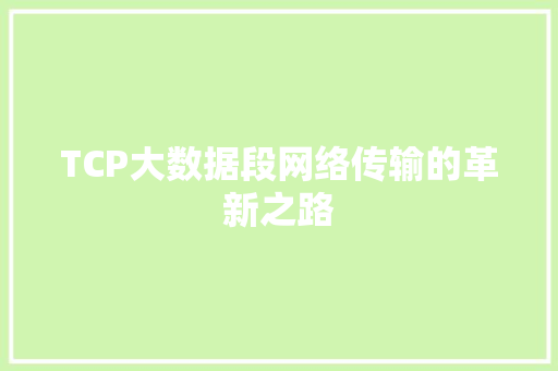TCP大数据段网络传输的革新之路