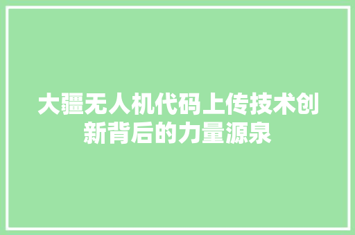 大疆无人机代码上传技术创新背后的力量源泉
