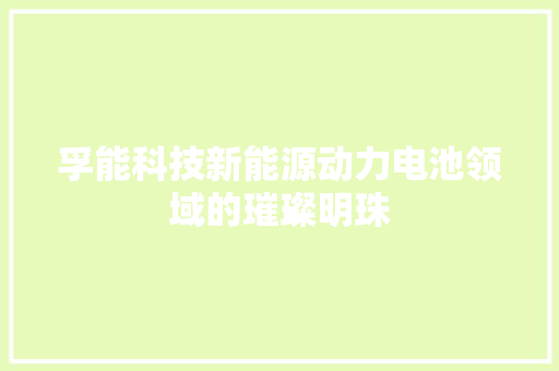 孚能科技新能源动力电池领域的璀璨明珠