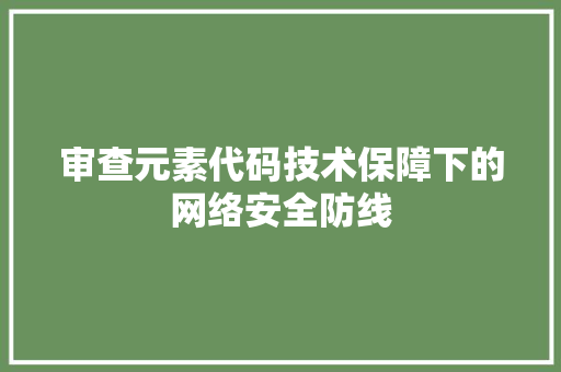 审查元素代码技术保障下的网络安全防线